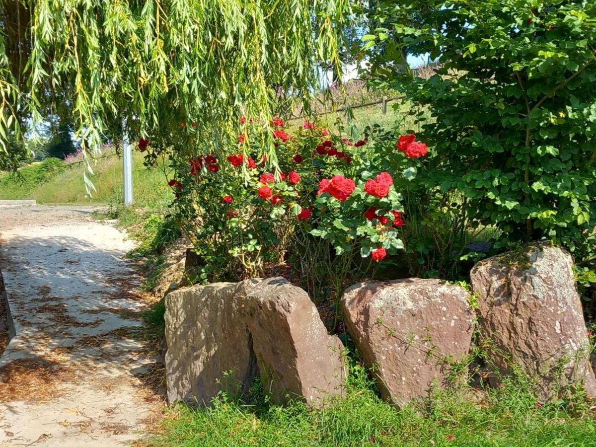 A La Memoire De Merlin & Spa Saint-Malon-sur-Mel المظهر الخارجي الصورة