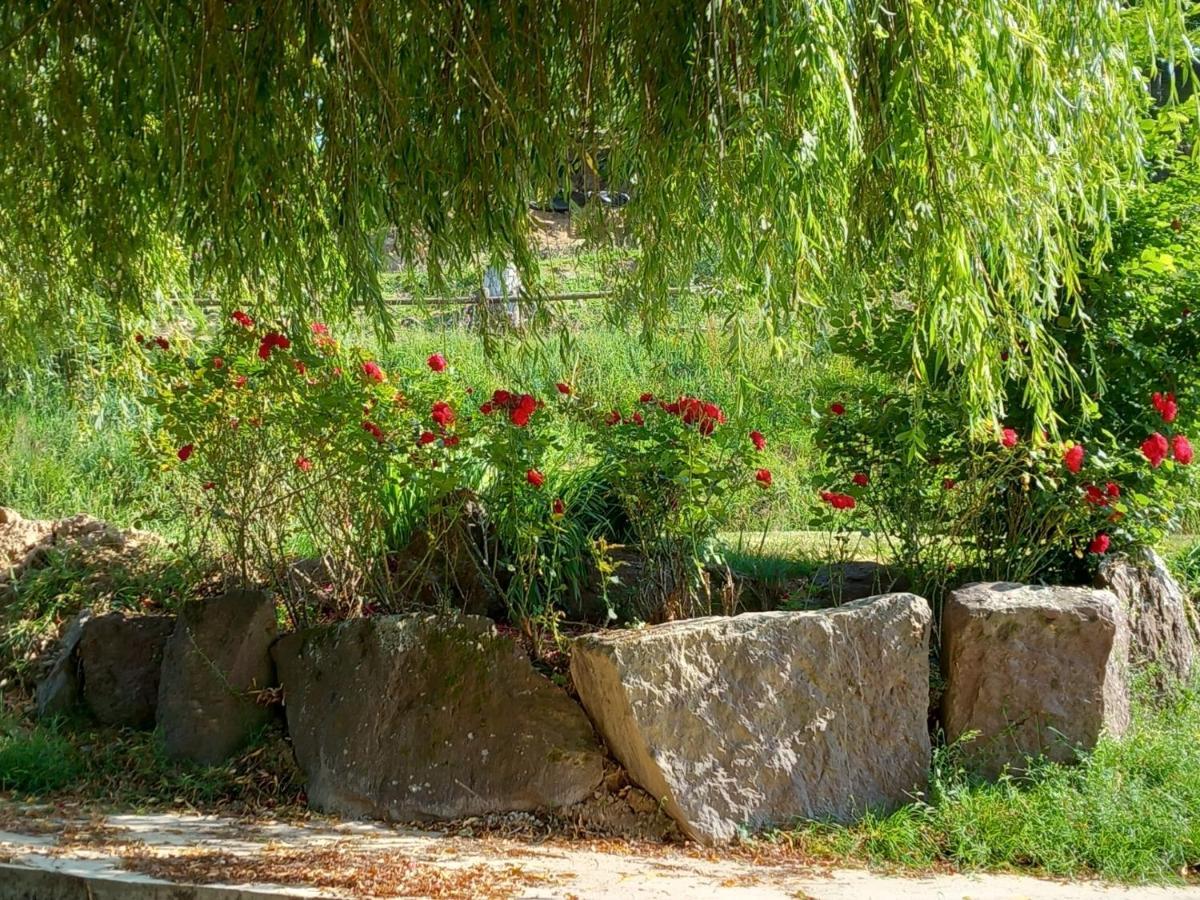 A La Memoire De Merlin & Spa Saint-Malon-sur-Mel المظهر الخارجي الصورة